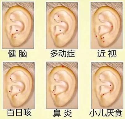 豆