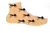 ca4807eb132eb858bc4d3be21eea0f57-sz_223138.webp