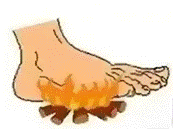 ca4807eb132eb858bc4d3be21eea0f57-sz_223138.webp